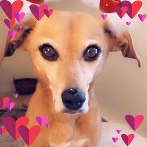 Meet your Posher, Nancy